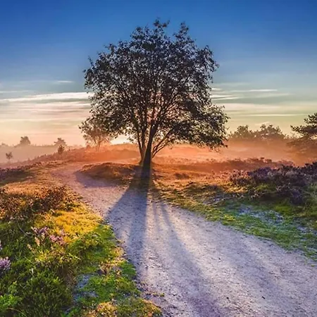Cozy And Child-friendly In The Veluwe Hoenderloo