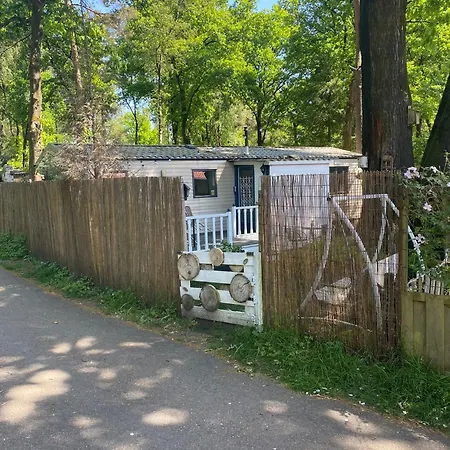 Cozy And Child-friendly In The Veluwe シャレー *