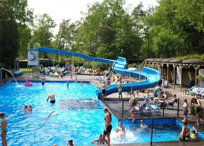 Chalet Cozy And Child-friendly In The Veluwe Hoenderloo