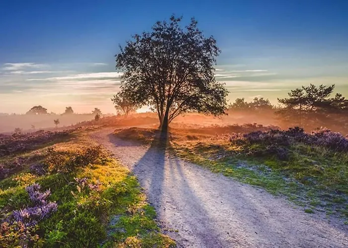 Cozy And Child-friendly In The Veluwe Hoenderloo