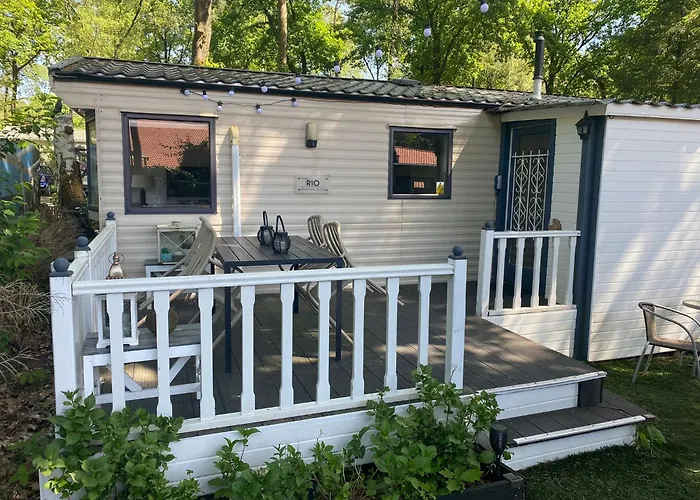 Cozy And Child-friendly In The Veluwe